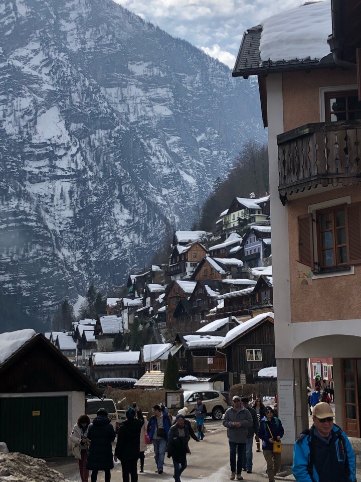 ハルシュタット ひよこの楽園